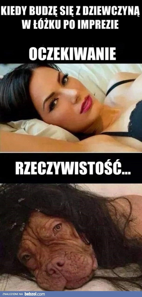 Oczekiwania vs rzeczywistość 
