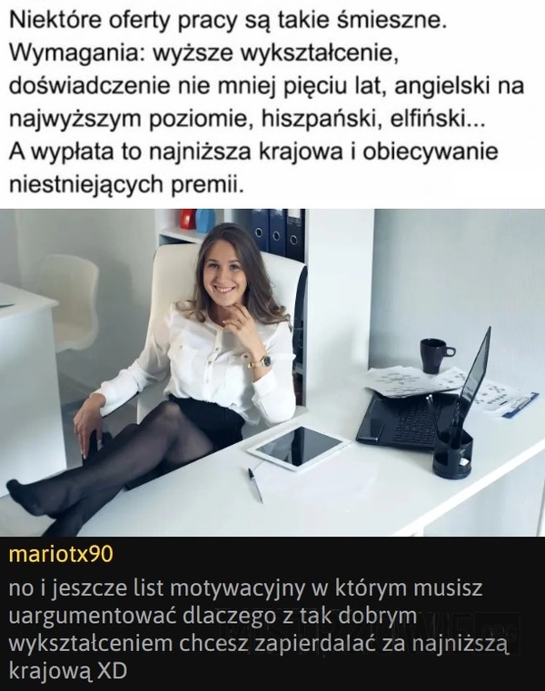 
    Oferty pracy
