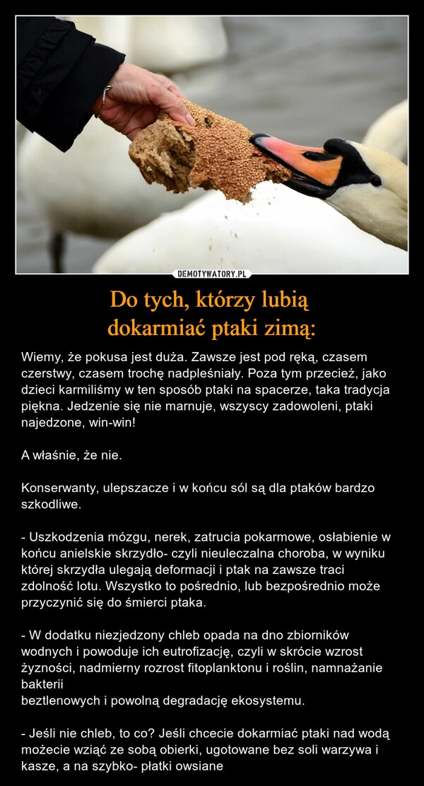 
    
Do tych, którzy lubią
dokarmiać ptaki zimą: 