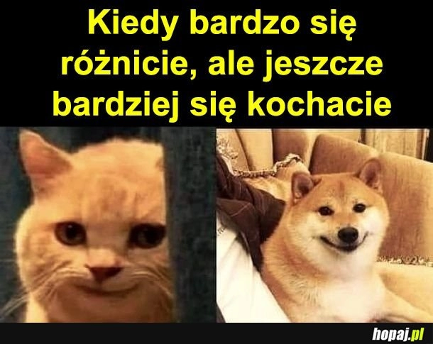 
    Miłość