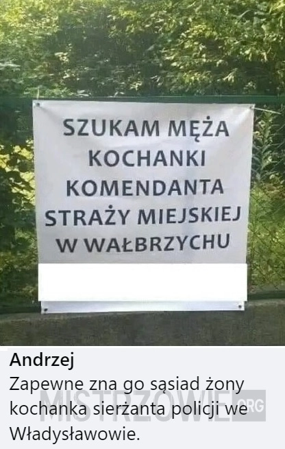 
    Szukam