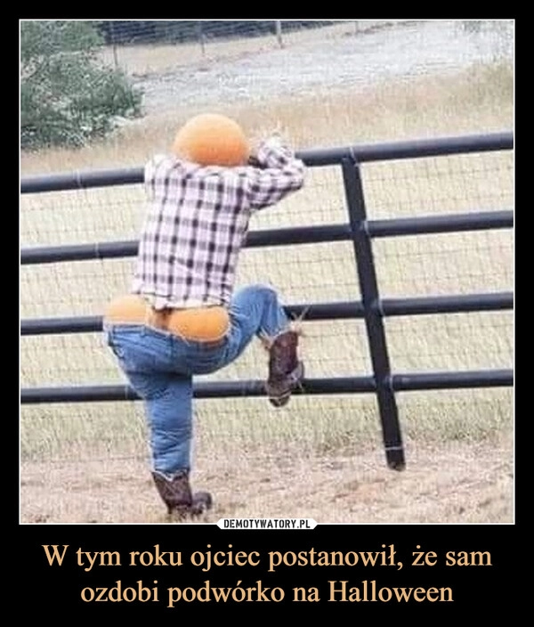 
    W tym roku ojciec postanowił, że sam ozdobi podwórko na Halloween