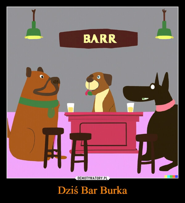 
    Dziś Bar Burka