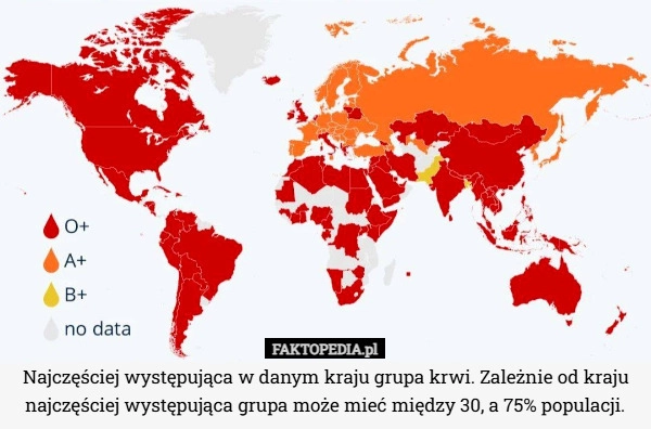 
    Najczęściej występująca w danym kraju grupa krwi. Zależnie od kraju najczęściej