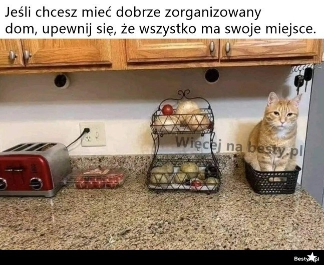 
    Porządek przede wszystkim 