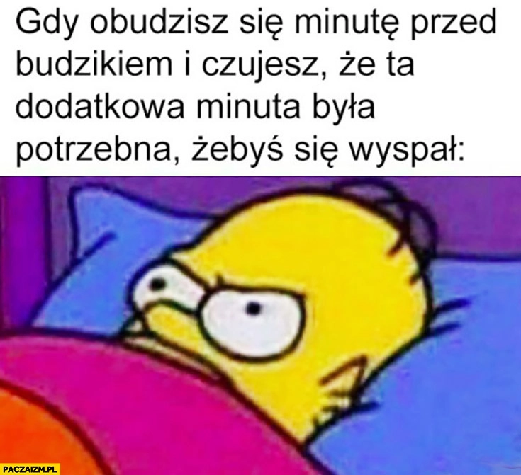 
    Gdy obudzisz się minutę przed budzikiem i czujesz, że ta dodatkowa minuta była potrzebna żebyś się wyspał Homer Simpson