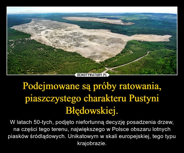 
    Podejmowane są próby ratowania, piaszczystego charakteru Pustyni Błędowskiej.