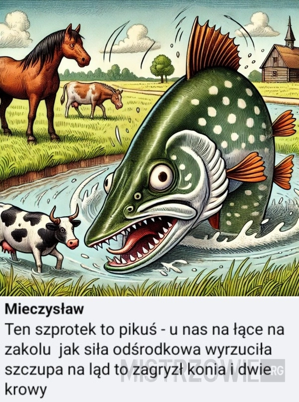 
    Szprotek