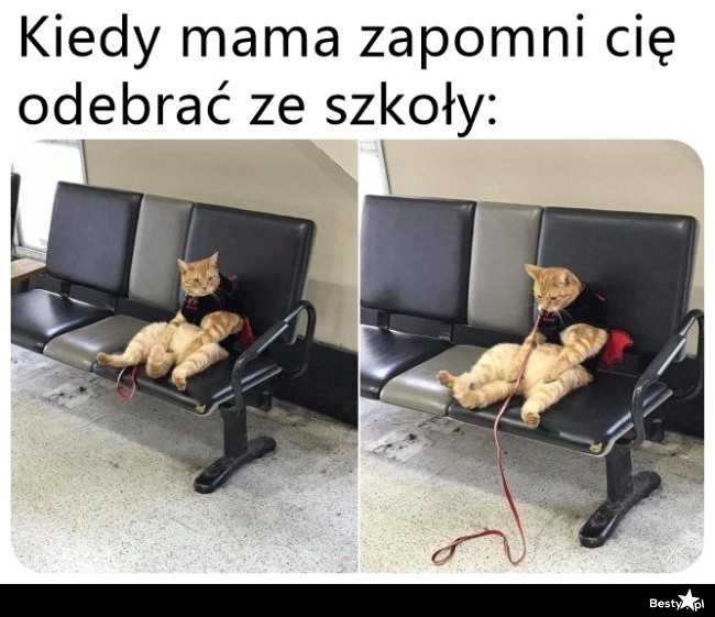 
    Jeszcze sobie poczekam 