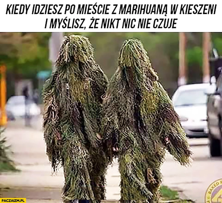 
    Kiedy idziesz po mieście z marihuaną w kieszeni i myślisz, że nikt nic nie czuje