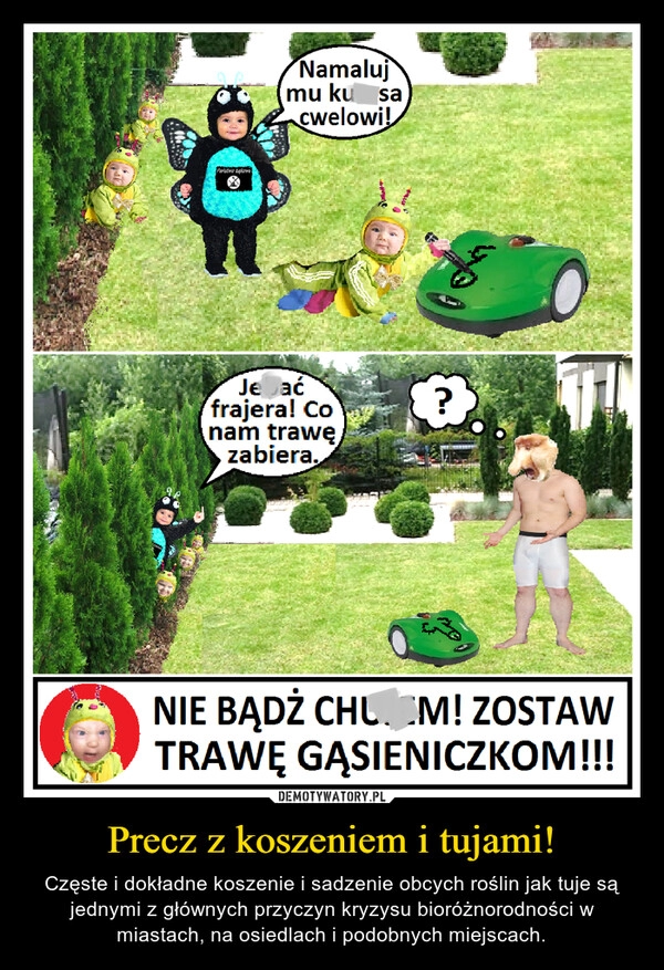 
    Precz z koszeniem i tujami!