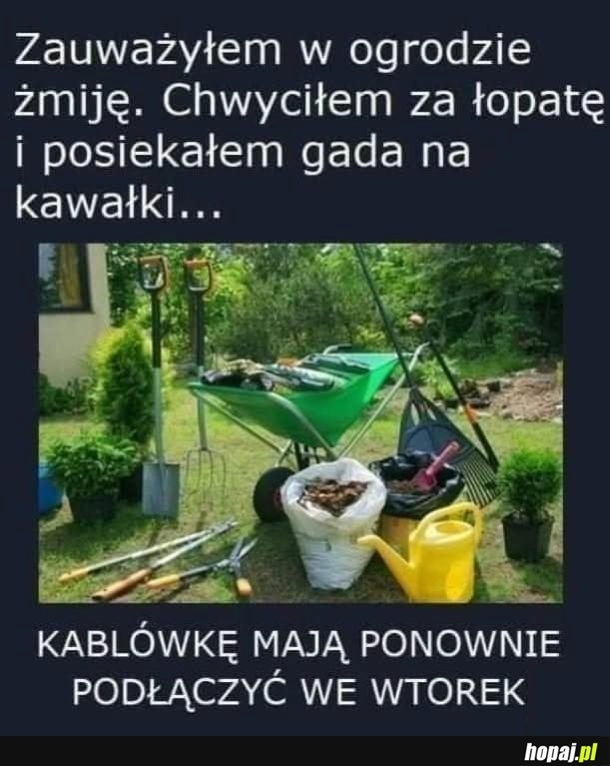 
    Ten to umie zrobić sobie na złość