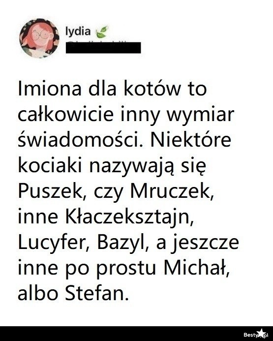 
    Imiona dla kotów 