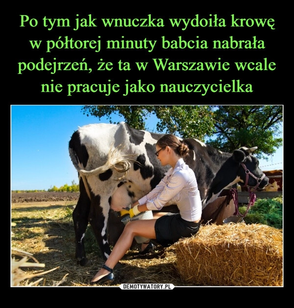 
    Po tym jak wnuczka wydoiła krowę w półtorej minuty babcia nabrała podejrzeń, że ta w Warszawie wcale nie pracuje jako nauczycielka