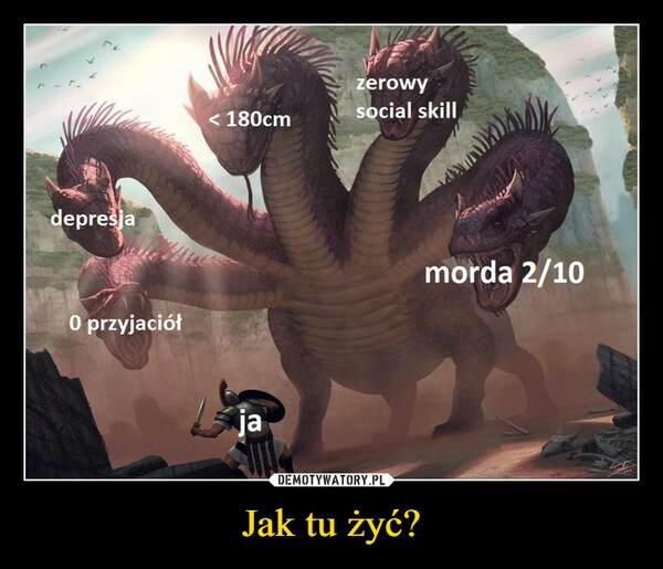 
    Jak tu żyć?