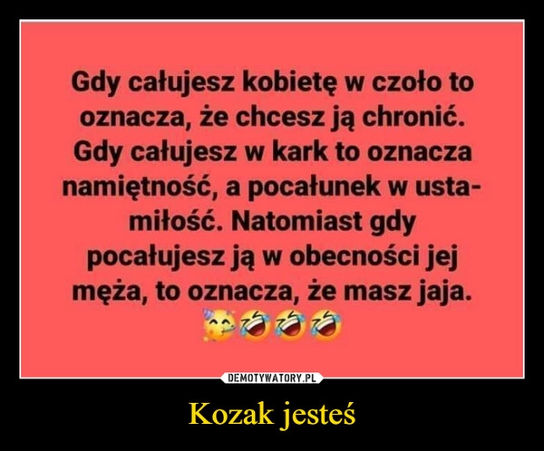 
    Kozak jesteś