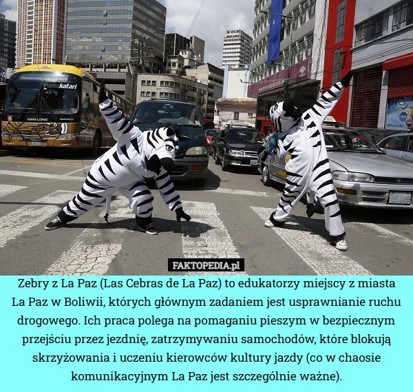 
    Zebry z La Paz (Las Cebras de La Paz) to edukatorzy miejscy z miasta
La