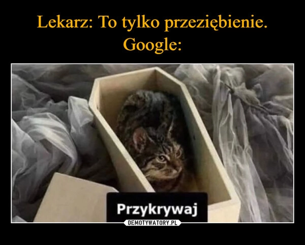 
    Lekarz: To tylko przeziębienie.
Google: