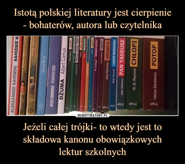 
    Istotą polskiej literatury jest cierpienie
- bohaterów, autora lub czytelnika Jeżeli całej trójki- to wtedy jest to składowa kanonu obowiązkowych
lektur szkolnych