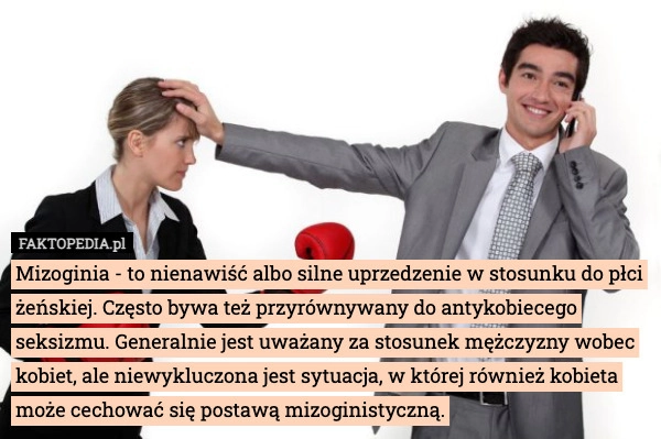 
    Mizoginia - to nienawiść albo silne uprzedzenie w stosunku do płci żeńskiej.