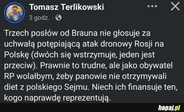 
    Terlikowski