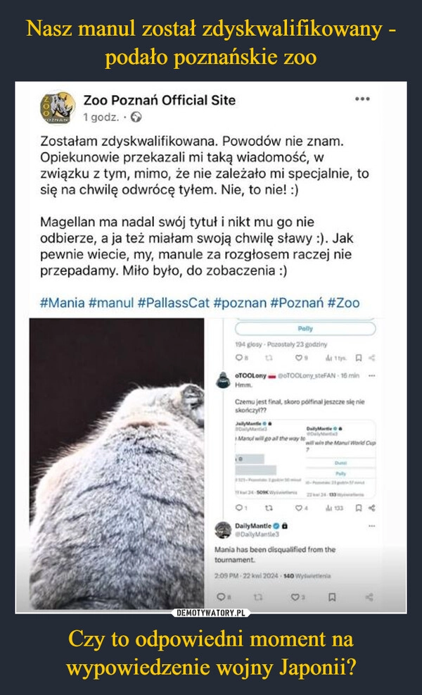 
    Nasz manul został zdyskwalifikowany - podało poznańskie zoo Czy to odpowiedni moment na wypowiedzenie wojny Japonii?