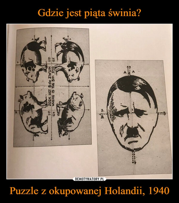 
    Gdzie jest piąta świnia? Puzzle z okupowanej Holandii, 1940