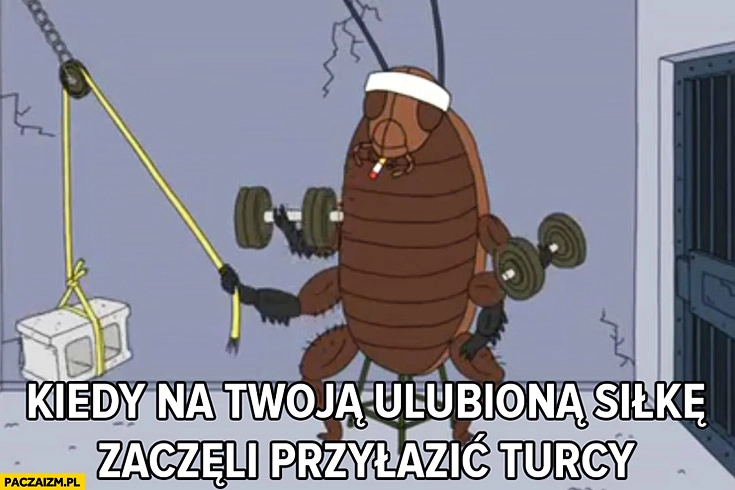 
    Kiedy na Twoją ulubiona siłkę zaczęli przyłazić Turcy karaluch