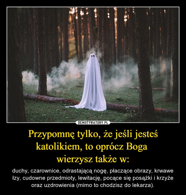 
    Przypomnę tylko, że jeśli jesteś katolikiem, to oprócz Boga
wierzysz także w: 