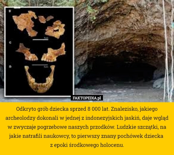 
    Odkryto grób dziecka sprzed 8 000 lat. Znalezisko, jakiego archeolodzy dokonali