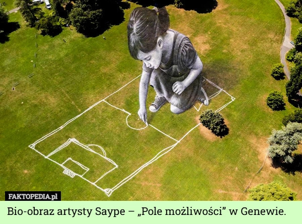 
    Bio-obraz artysty Saype – „Pole możliwości” w Genewie.