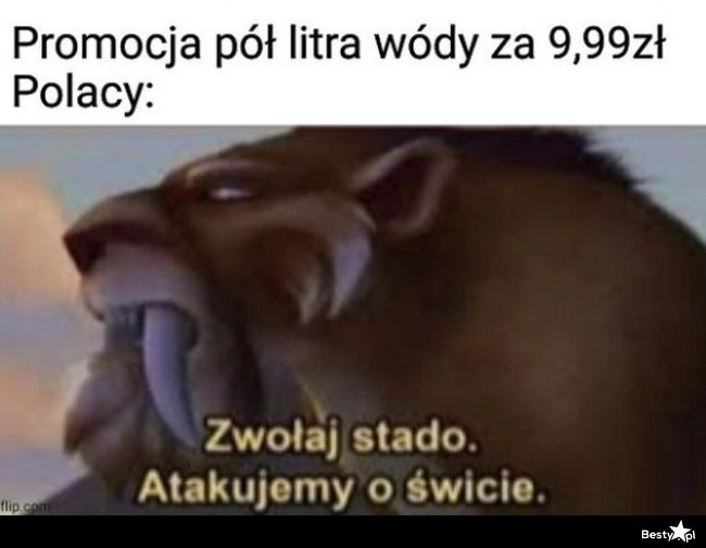 
    Promocja 