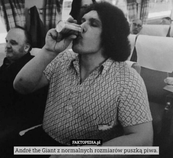 
    
			André the Giant z normalnych rozmiarów puszką piwa.					