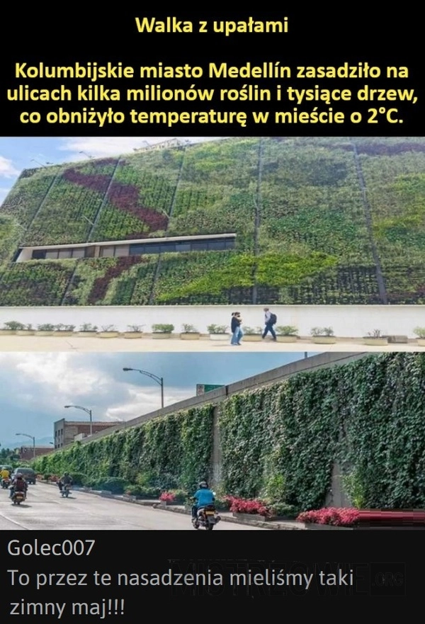 
    Medellín