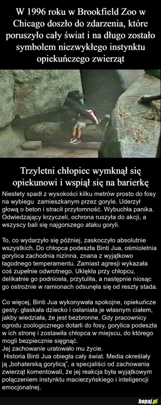 
    Zdarzenie, które poruszyło cały świat