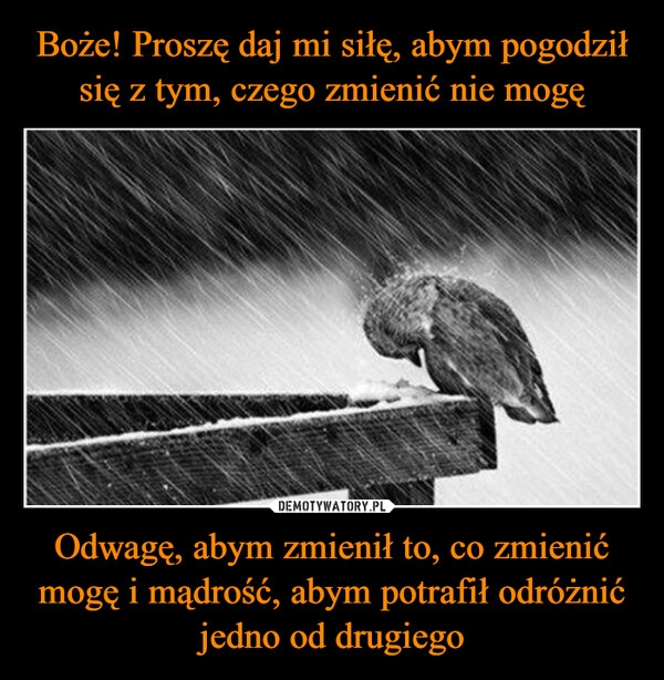 
    Boże! Proszę daj mi siłę, abym pogodził się z tym, czego zmienić nie mogę Odwagę, abym zmienił to, co zmienić mogę i mądrość, abym potrafił odróżnić jedno od drugiego