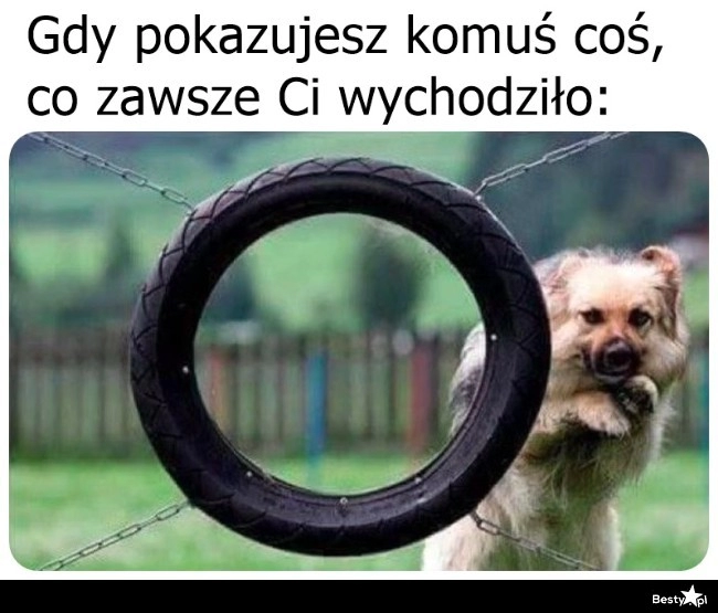 
    Tak to właśnie jest