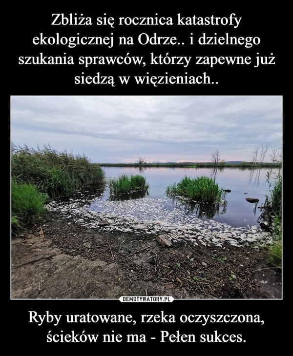 
    Zbliża się rocznica katastrofy ekologicznej na Odrze.. i dzielnego szukania sprawców, którzy zapewne już siedzą w więzieniach.. Ryby uratowane, rzeka oczyszczona, ścieków nie ma - Pełen sukces.