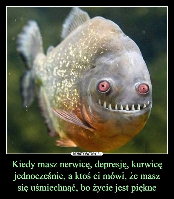 
    Kiedy masz nerwicę, depresję, kurwicę jednocześnie, a ktoś ci mówi, że masz się uśmiechnąć, bo życie jest piękne