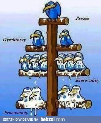 
    Hierarchia