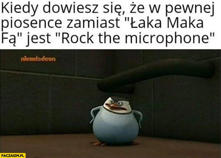 
    Kiedy dowiesz się, że w pewnej piosence zamiast łaka maka fą jest rock the microphone