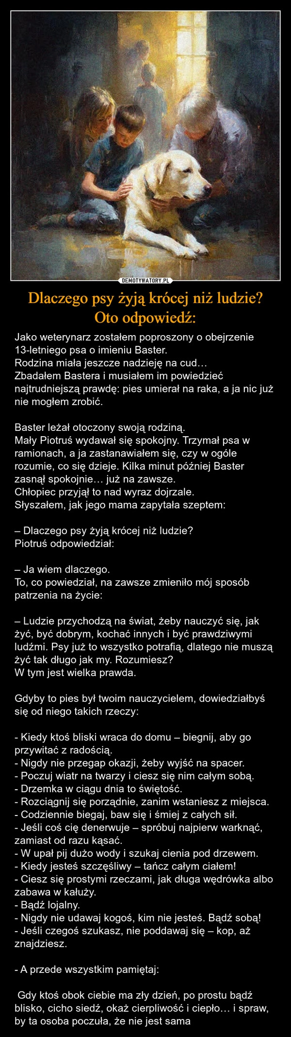 
    Dlaczego psy żyją krócej niż ludzie?
Oto odpowiedź: