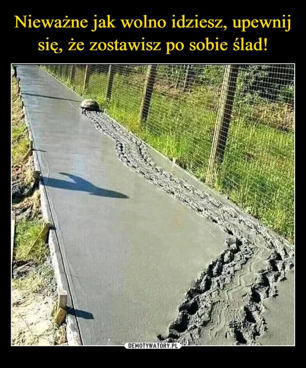 
    Nieważne jak wolno idziesz, upewnij się, że zostawisz po sobie ślad!