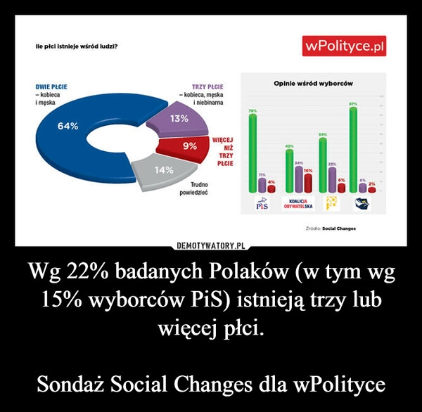 
    Wg 22% badanych Polaków (w tym wg 15% wyborców PiS) istnieją trzy lub więcej płci.

Sondaż Social Changes dla wPolityce