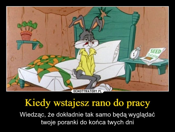 
    Kiedy wstajesz rano do pracy