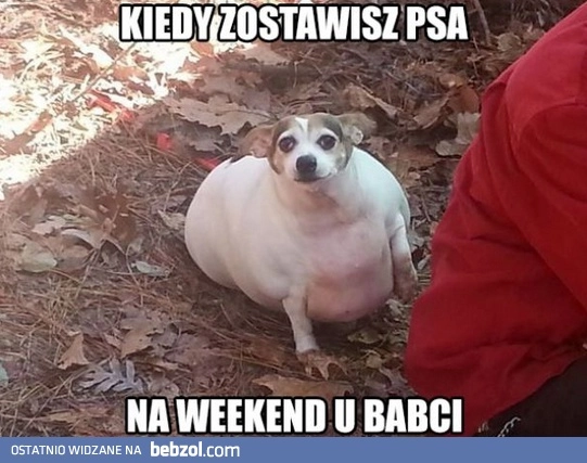 
    Babcie tak mają