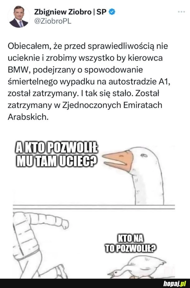 
    Zero próbuje się chwalić