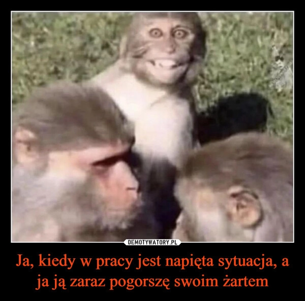 
    Ja, kiedy w pracy jest napięta sytuacja, a ja ją zaraz pogorszę swoim żartem