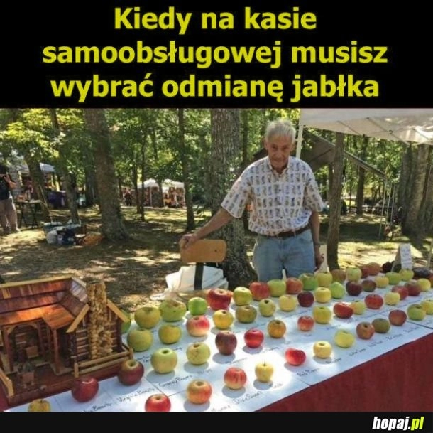 
    Wybór jabłka