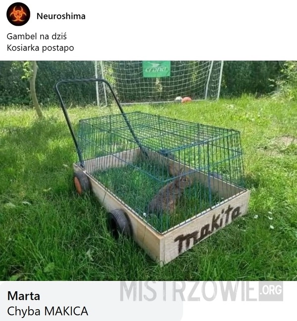 
    Trawa